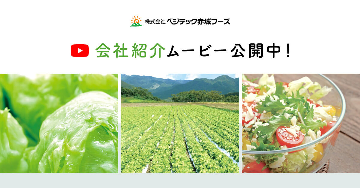 会社紹介ムービー公開中！