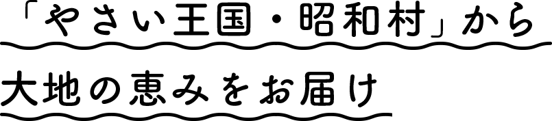 「やさい王国・昭和村」から大地の恵みをお届け